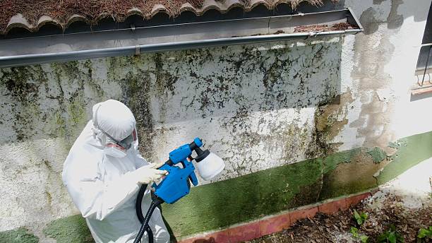 Top rated local Attic Mold Removal specialists in Reedsville, PA